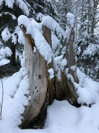Snow covered landscape