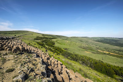 Scenic view of landscape against sky