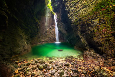 Scenic view of waterfall in forest