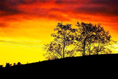 Silhouette tree against dramatic sky during sunset