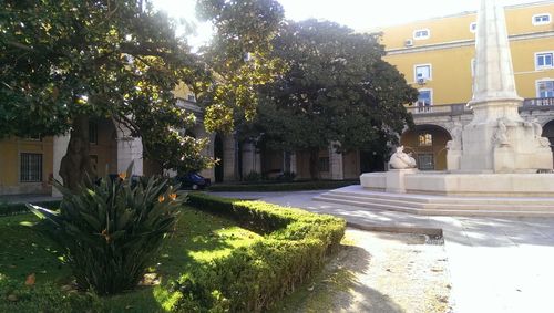 View of plants and trees