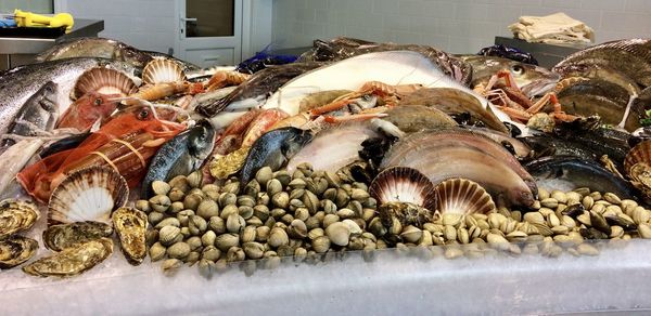 Fresh fish and seafood stall