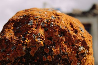 Close-up of chocolate cake