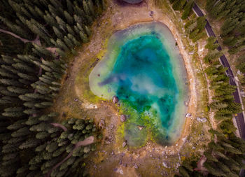 Aerial view of sea amidst trees