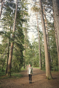 Rear view of man standing amidst trees in forest