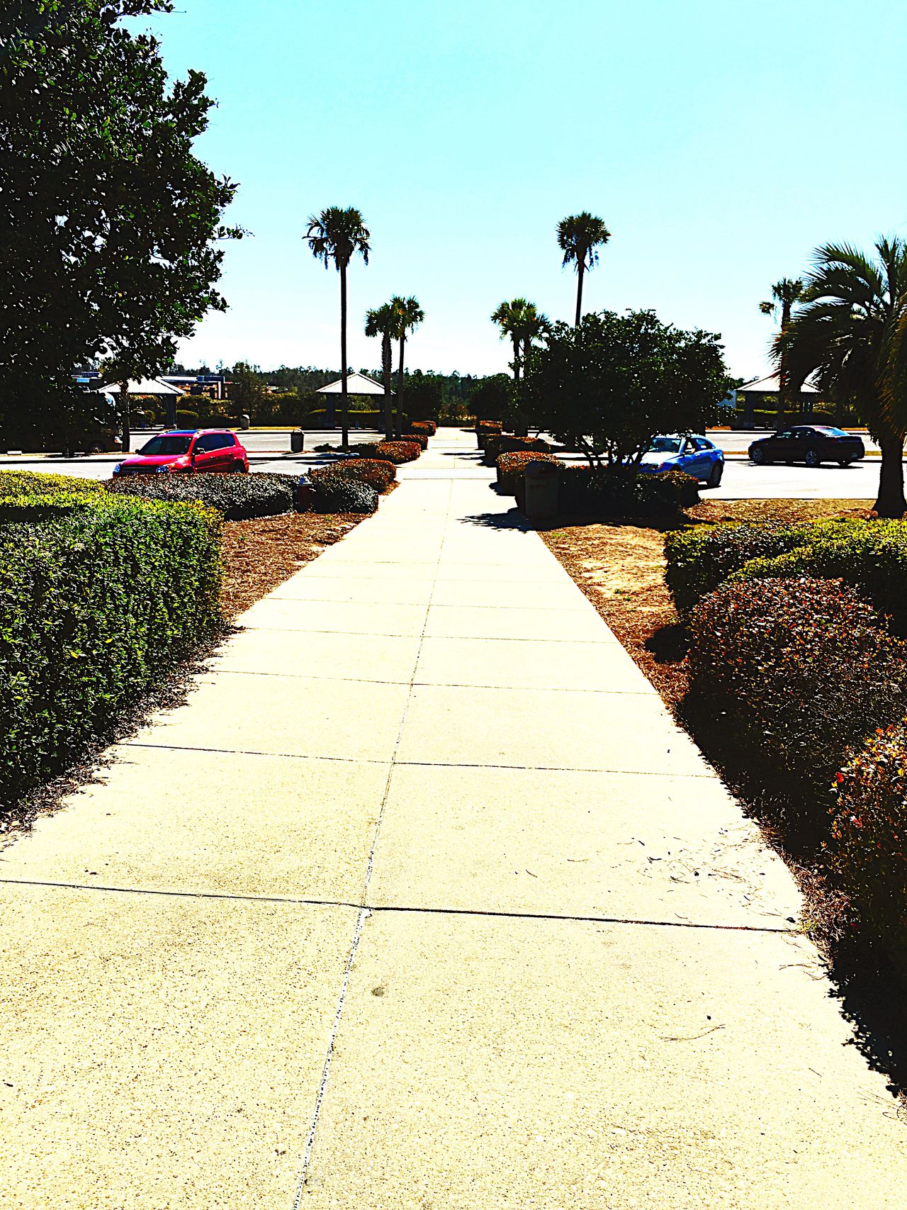 Coming out of the welcome center in Pensacola Florida.