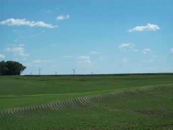 Scenic view of agricultural field against sky