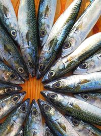 Full frame shot of fish for sale