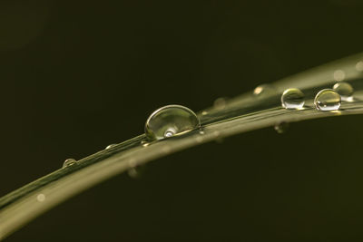 Close-up of water drops on metal against black background