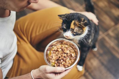 Midsection of man feeding cat on hardwood floor