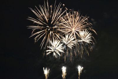 Low angle view of firework display against sky at night