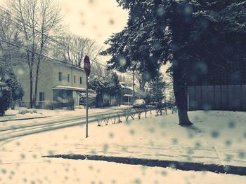 Snow covered trees and buildings in city