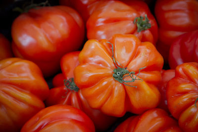 Full frame shot of pumpkins at market stall