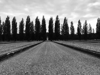 Empty road along trees and plants against sky