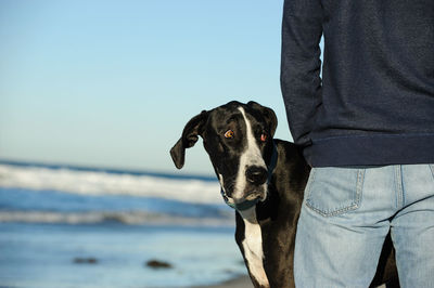 Low section of man standing by sea against sky