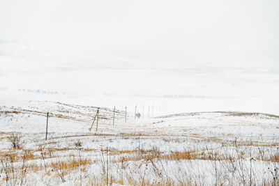 Scenic view of snow covered landscape