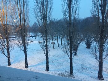 Bare trees on snow covered landscape