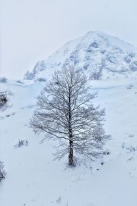 Scenic view of snow covered landscape and mountains against sky