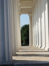 Corridor of building