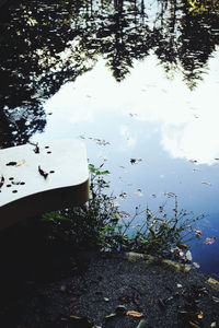 High angle view of birds in lake