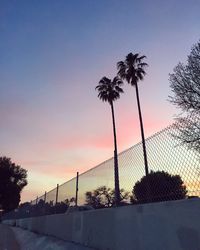 View of trees at sunset