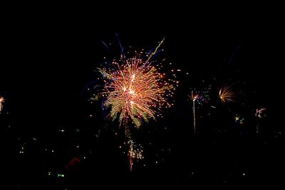 Low angle view of firework display against sky at night