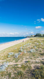 Scenic view of beach against blue sky