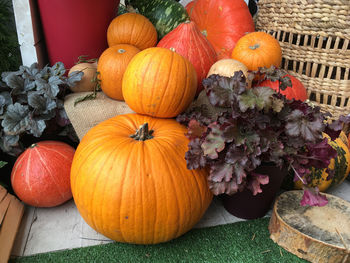 High angle view of pumpkins on plant during autumn