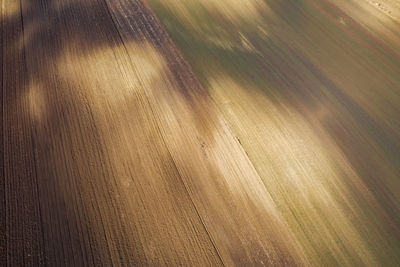 Full frame shot of wooden floor