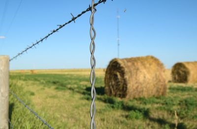 Hay beyond barbed wire