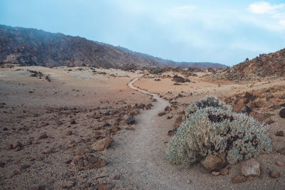 Scenic view of arid landscape against sky