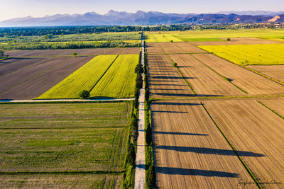 Scenic view of agricultural field