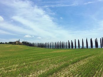 Wooden fence on field against sky