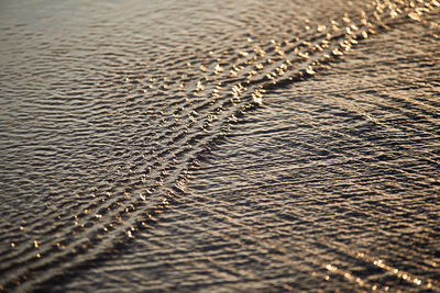 Full frame shot of sea shore