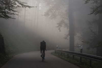 Man riding bicycle on road in forest