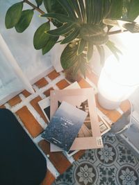 High angle view of potted plant on table at home