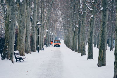Land vehicle on snowy street amidst trees during winter