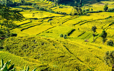 High angle view of landscape