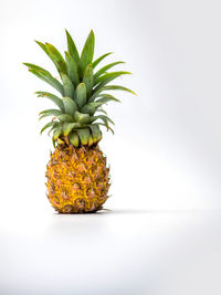 Close-up of fruits on table against white background