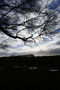 Bare trees on landscape against sky