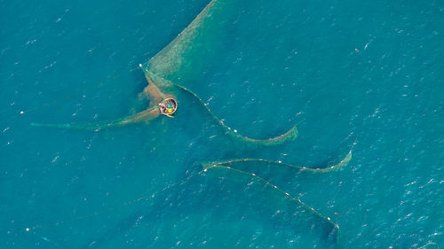 High angle view of swimming in sea