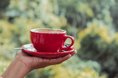 Cropped image of hand holding coffee cup