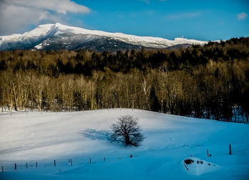 Scenic view of snow covered field against sky