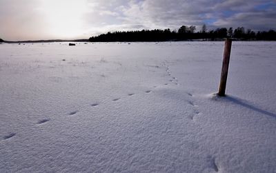 Scenic view of snow field against sky