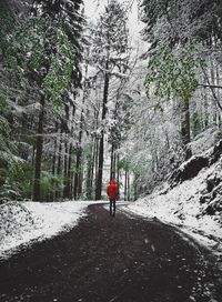 Rear view of man walking on road through forest