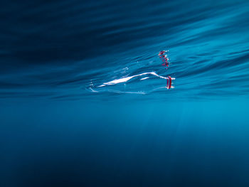 Bottle floating in sea