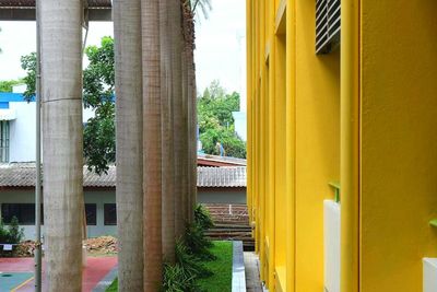 Trees and yellow building seen through window