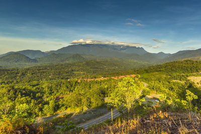 Scenic view of landscape against sky