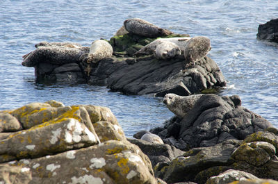 Rocks on beach