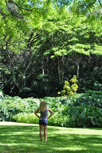 Rear view of woman standing on grass against trees